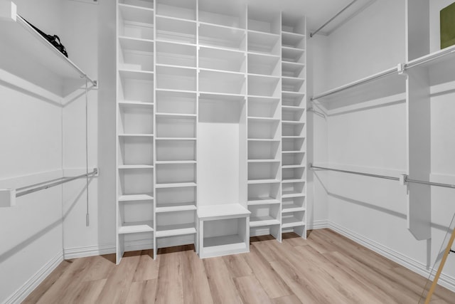 spacious closet featuring light wood finished floors