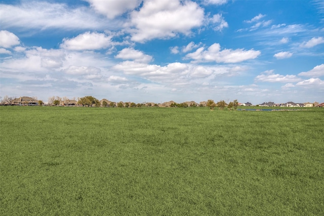 view of local wilderness featuring a rural view