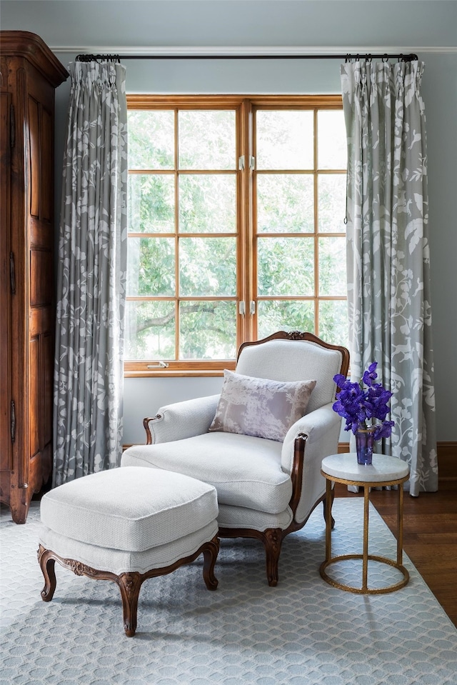 sitting room featuring wood finished floors