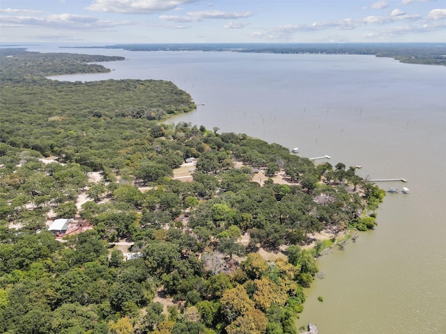 aerial view featuring a water view and a view of trees