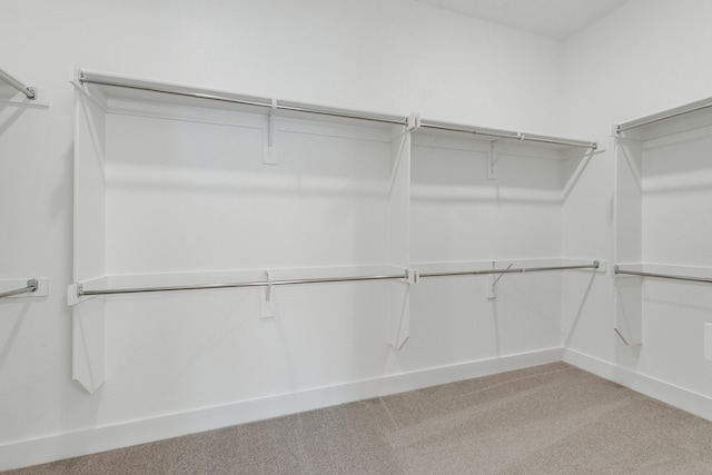 walk in closet with carpet floors