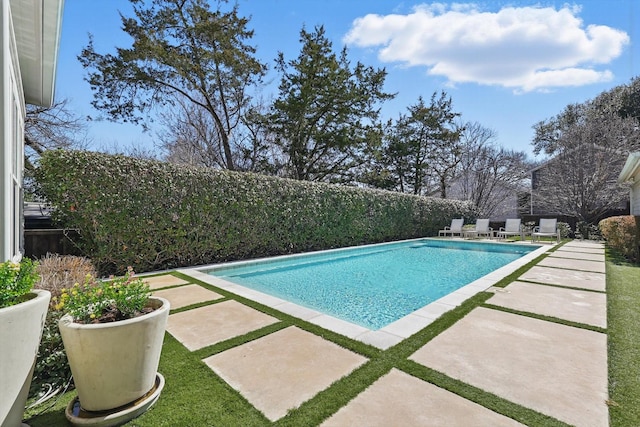 view of swimming pool featuring a patio, a fenced backyard, and a fenced in pool