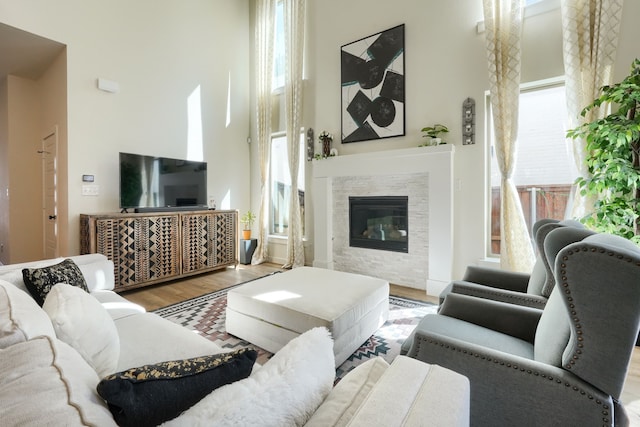 living room with a fireplace, a high ceiling, and wood finished floors