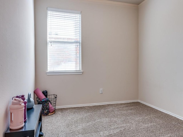 empty room with baseboards and carpet flooring