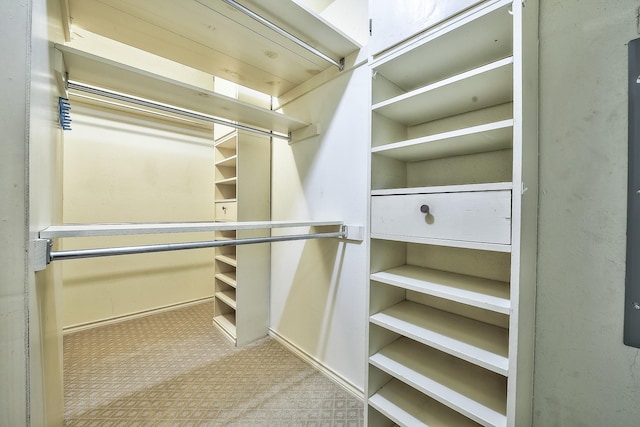 spacious closet with light carpet