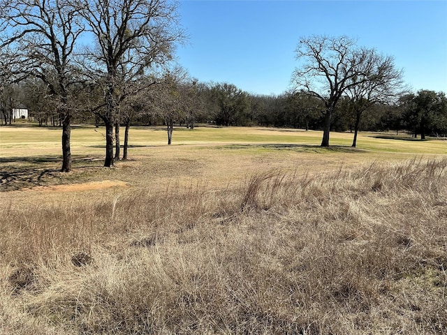 Listing photo 3 for 7038 Golf Dr, Whitney TX 76692