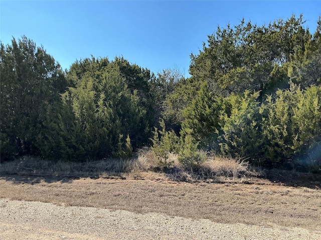 12095 Shady Creek Dr, Whitney TX, 76692 land for sale