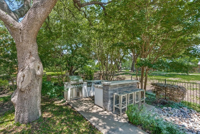 6007 Club Oaks Dr, Dallas, TX 75248 - view of yard featuring an outdoor kitchen and view of scattered trees
