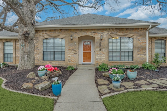 view of exterior entry with a shingled roof and brick siding