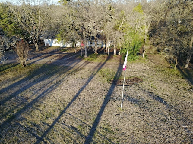 view of yard with driveway