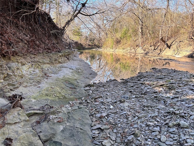 water view with a wooded view