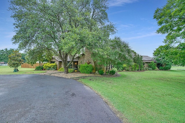 9577 Vail Eton Dr, Pilot Point, TX 76258 - view of property hidden behind natural elements with a front yard, solar panels, and asphalt driveway