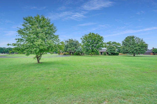 9577 Vail Eton Dr, Pilot Point, TX 76258 - view of green lawn