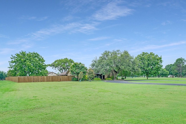 9577 Vail Eton Dr, Pilot Point, TX 76258 - view of yard