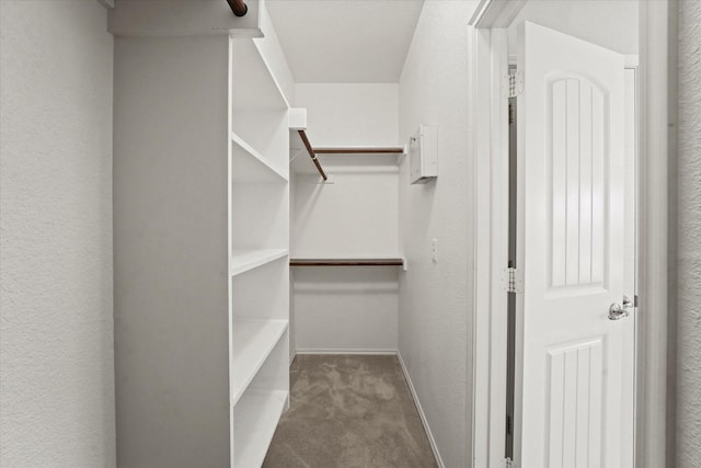 spacious closet with carpet