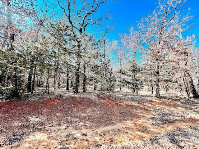 LOT9 Castle Pines Cir, Gordonville, TX 76245