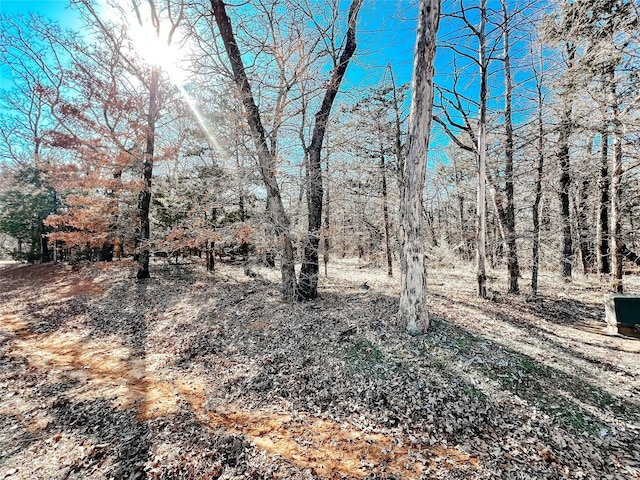 Listing photo 2 for LOT9 Castle Pines Cir, Gordonville TX 76245