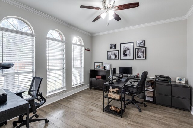 office area with light wood-style floors, a wealth of natural light, crown molding, and a ceiling fan