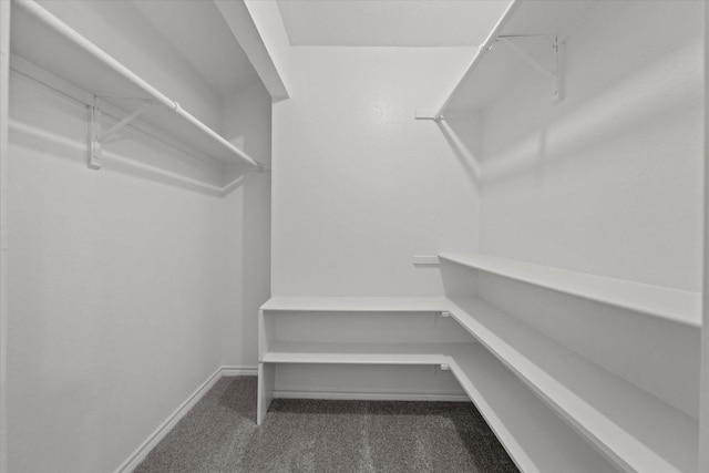 walk in closet featuring carpet