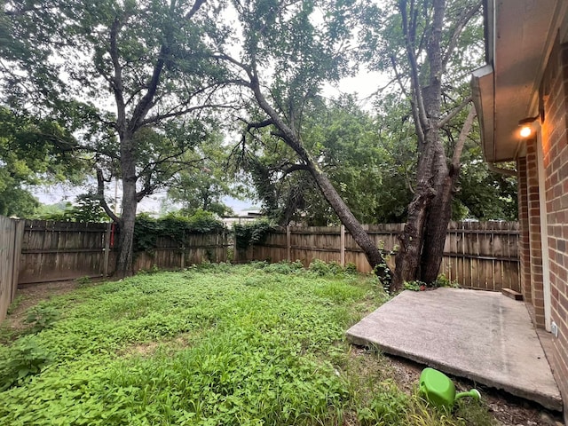 view of yard with a fenced backyard and a patio