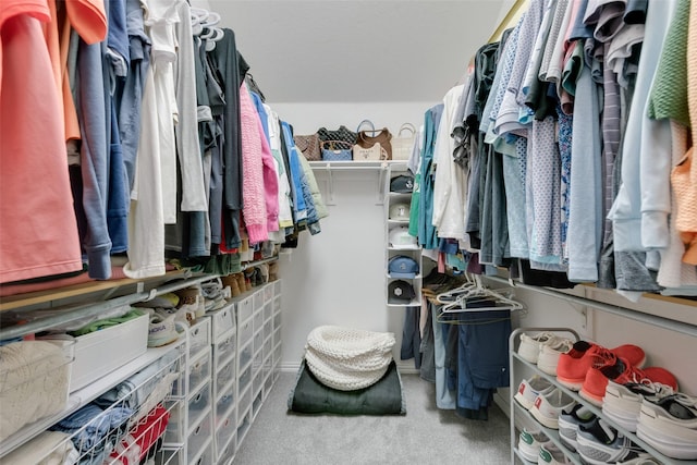 spacious closet featuring carpet floors