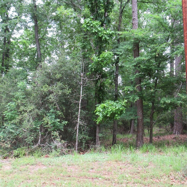 Listing photo 3 for TBD Rolling Ridge, Hawkins TX 75765