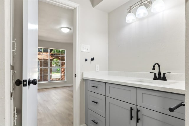 bathroom featuring wood finished floors and vanity