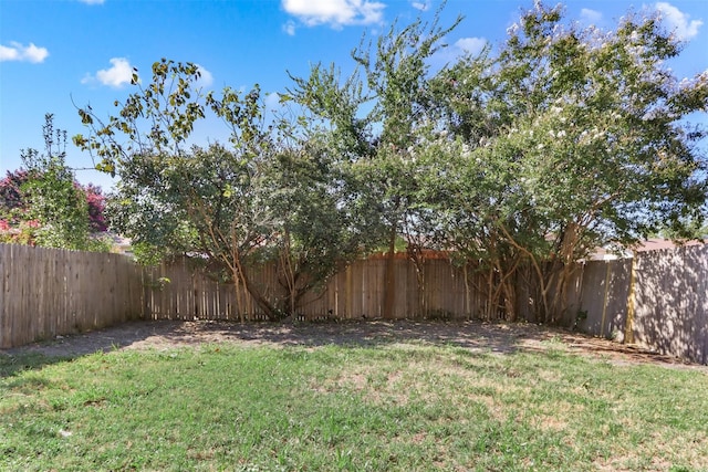 view of yard featuring a fenced backyard