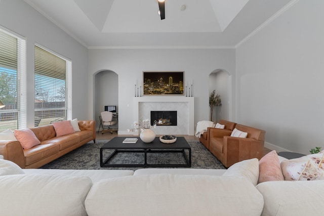 living room with a tray ceiling, ornamental molding, and a high end fireplace