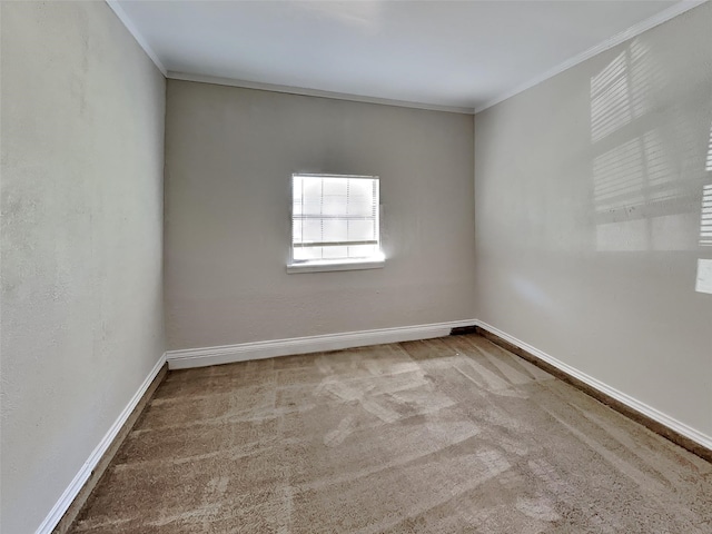 spare room with crown molding, baseboards, and carpet flooring