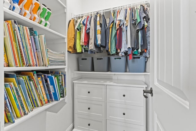 view of spacious closet