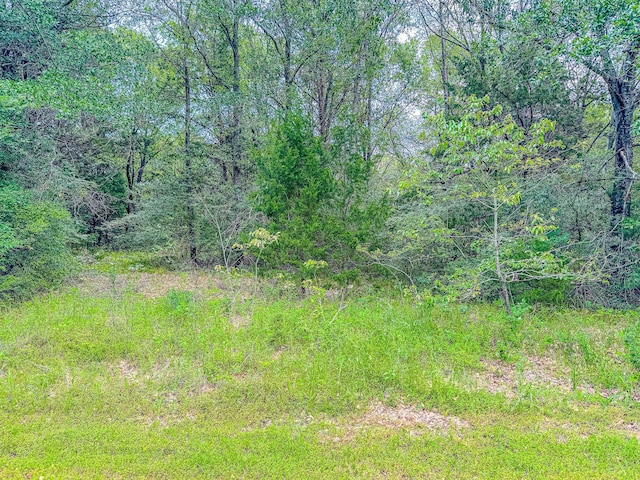 Listing photo 3 for Lot4 Shiloh, Streetman TX 75859