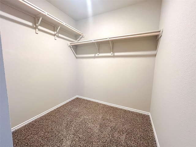 spacious closet featuring carpet flooring