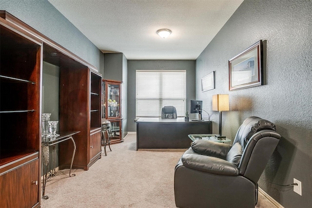 office space featuring a textured ceiling, a textured wall, and carpet floors