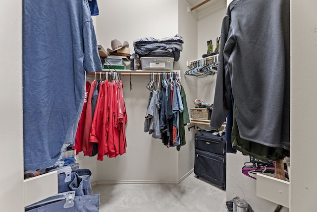 walk in closet featuring carpet flooring