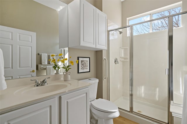 full bathroom featuring a stall shower, vanity, and toilet