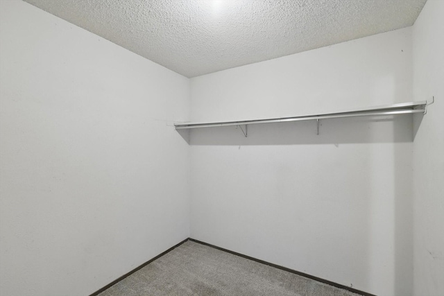 walk in closet featuring carpet