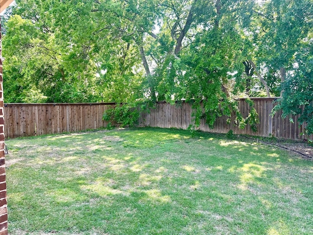 7721 Lake Worth Cv, Mckinney, TX 75071 - view of yard