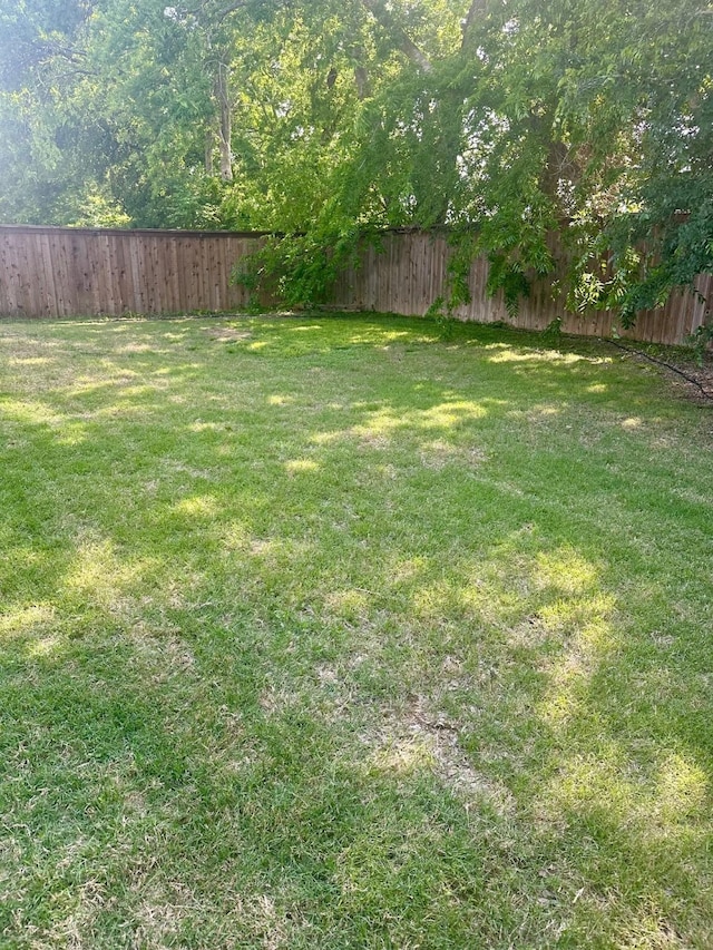 7721 Lake Worth Cv, Mckinney, TX 75071 - view of yard