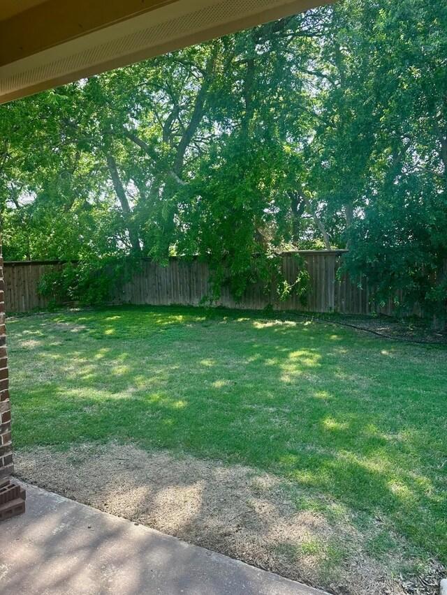 7721 Lake Worth Cv, Mckinney, TX 75071 - view of yard