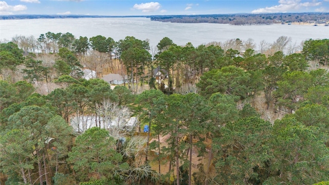 aerial overview of property's location featuring a large body of water