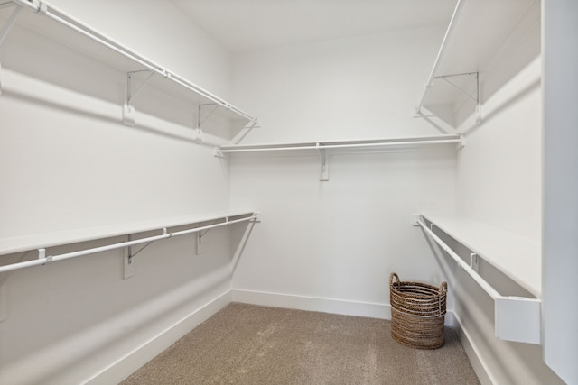 3830 Dalea Dr, Prosper, TX 75078 - spacious closet featuring carpet floors