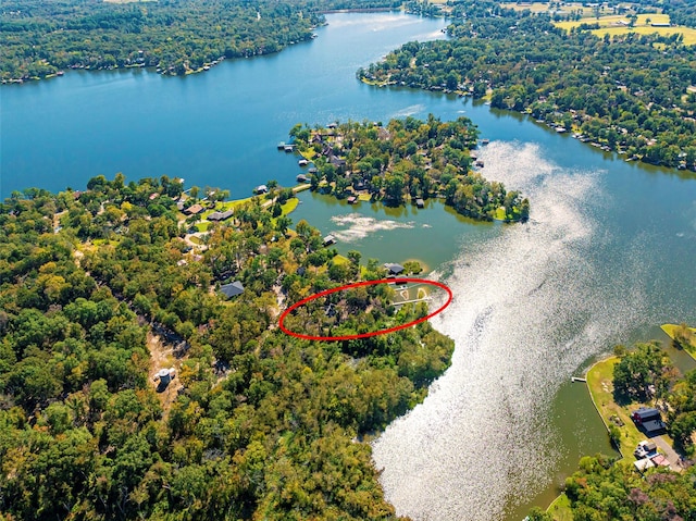 birds eye view of property featuring a water view and a view of trees