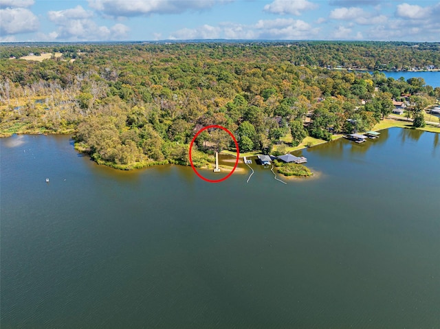 bird's eye view with a water view and a view of trees