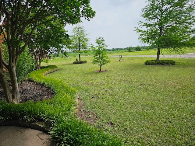 view of home's community with a yard
