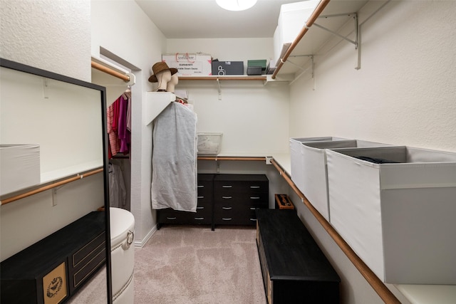 spacious closet with light carpet