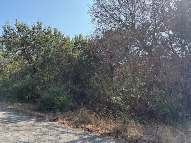 2801 Pinoak St, Granbury TX, 76048 land for sale