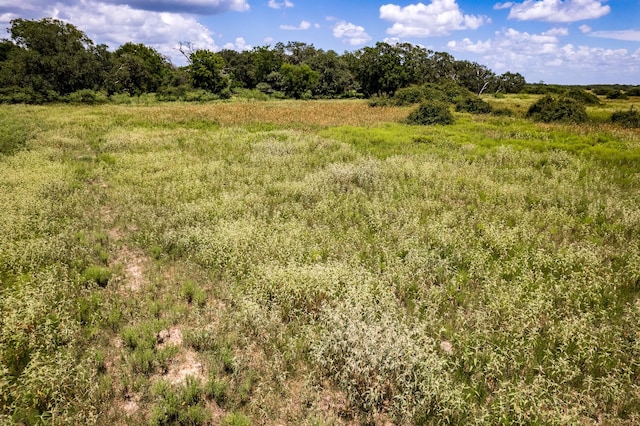 TBD83ACRES County Rd 18, Hallettsville TX, 77964 land for sale