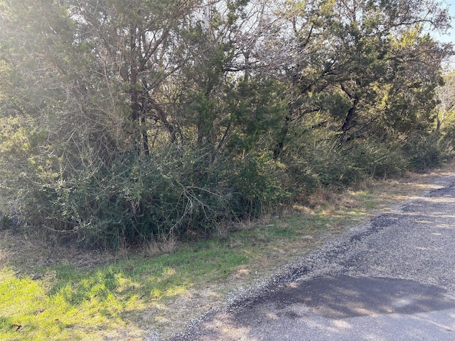 2803 Pinoak St, Granbury, TX 76048