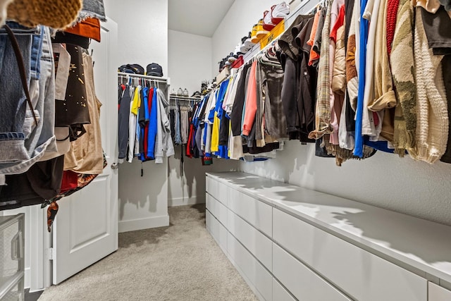 spacious closet with light carpet